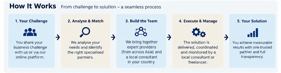 How it works in five steps: your challenge, analyse and match, build the team, execute and manage, your solution.